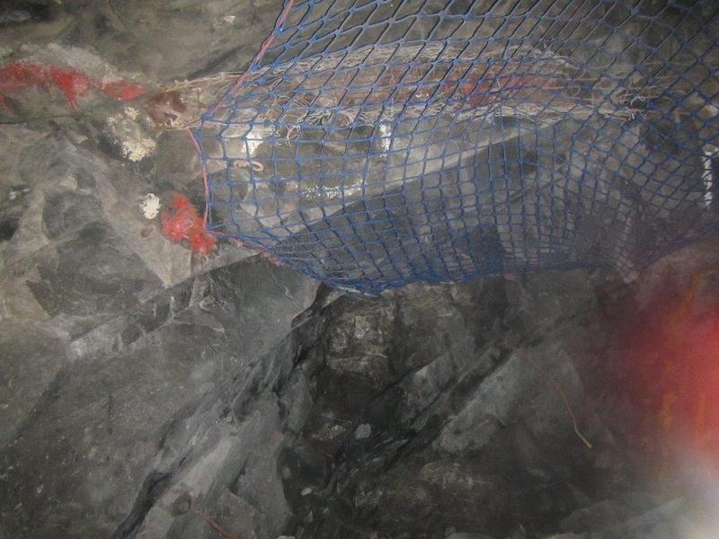 Safety Nets 15