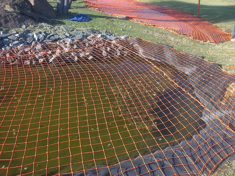 Safety Nets 3